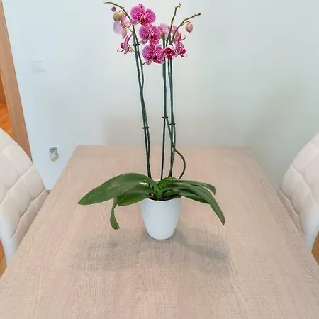 Apartment Ria De Boo, Con Patio Privado Boo De Pielagos